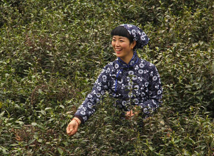 赛博幽灵